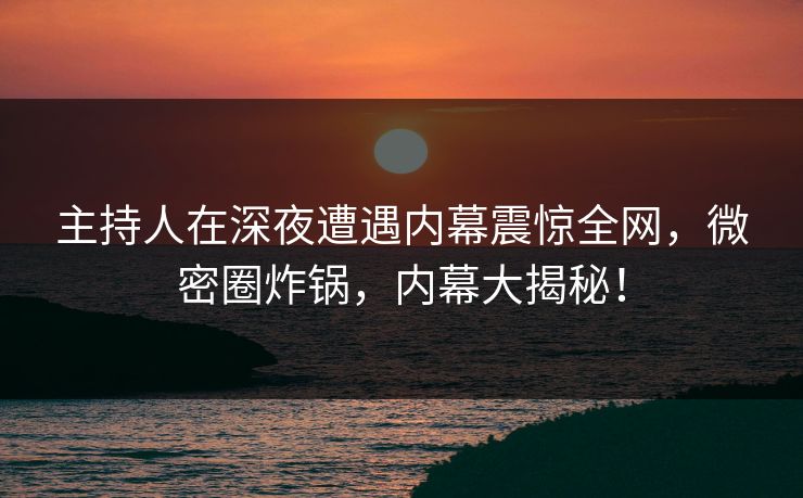 主持人在深夜遭遇内幕震惊全网，微密圈炸锅，内幕大揭秘！