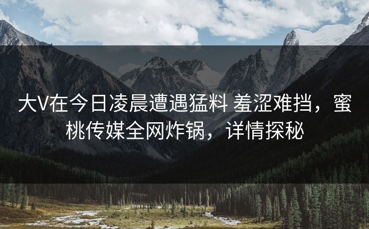 大V在今日凌晨遭遇猛料 羞涩难挡，蜜桃传媒全网炸锅，详情探秘