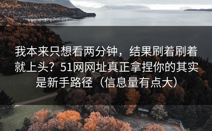 我本来只想看两分钟，结果刷着刷着就上头？51网网址真正拿捏你的其实是新手路径（信息量有点大）